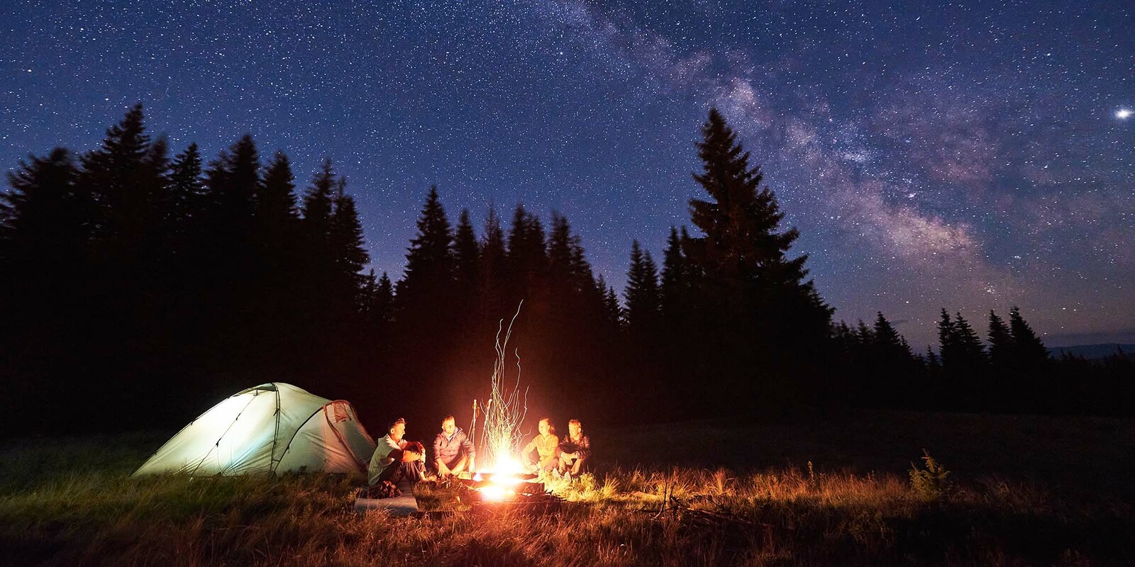 Mobile Brand Crushes: You're the One I Want