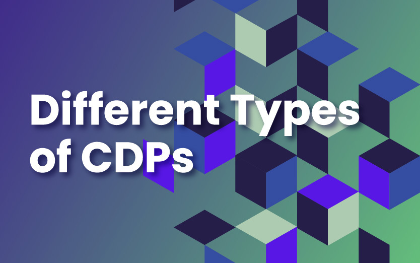 Which Type of Customer Data Platform is Best for You