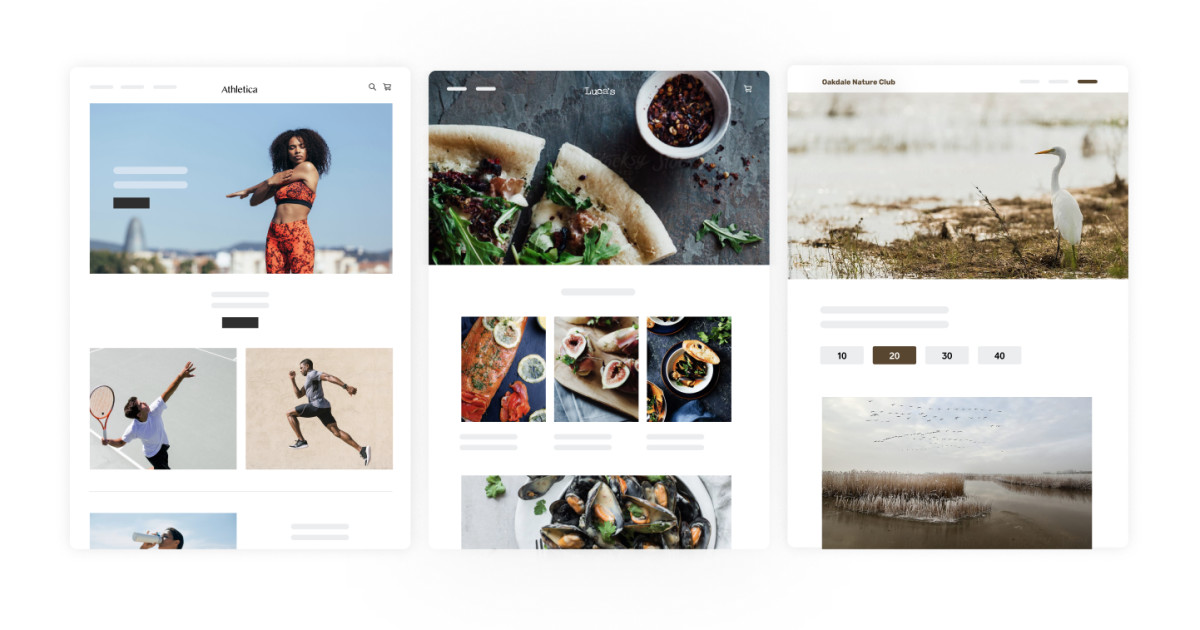 A No-Technical-Skills Guide to Setting Up an Online Store