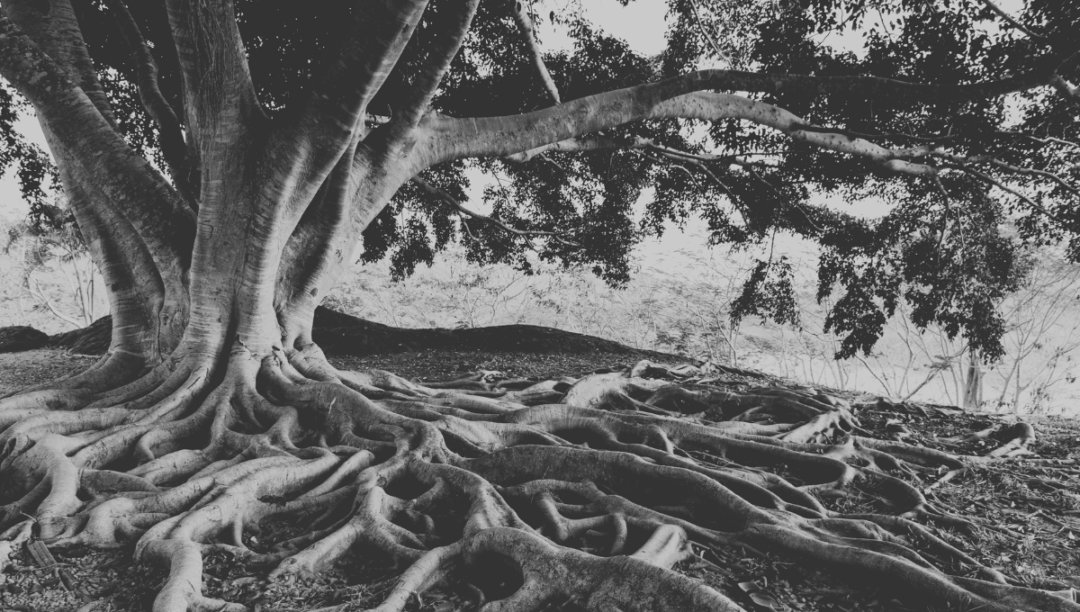 Understanding Multi-Touch Attribution: Why Simplicity Isn't Enough for B2B