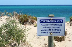 Transform Your Conservation Nonprofit's Fundraising With Text Messaging