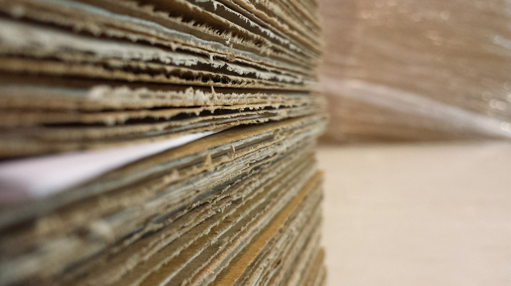 Top-notch shipping tips for your online store