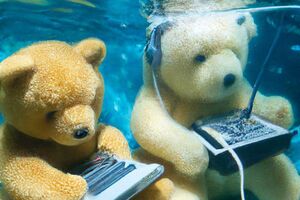 DALL-E Image Generator Generates Attention for OpenAI