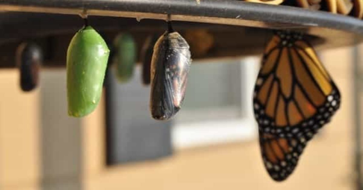 The 7-Step Guide to Creating a Sales Process