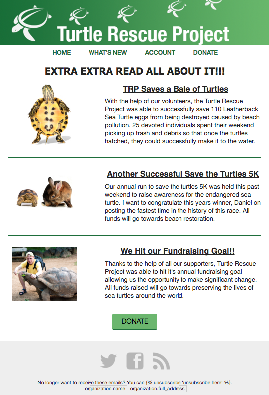 Managing Your Nonprofit's Email Newsletter Length