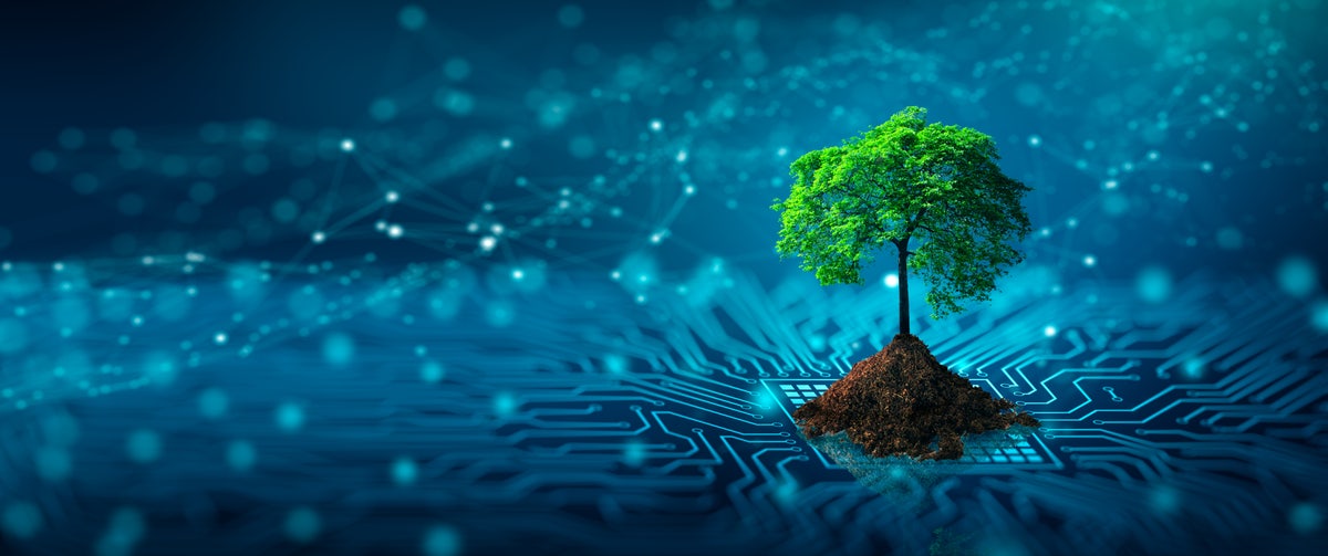 Turn to tech: how the digital age could help save the environment | Adobe Blog