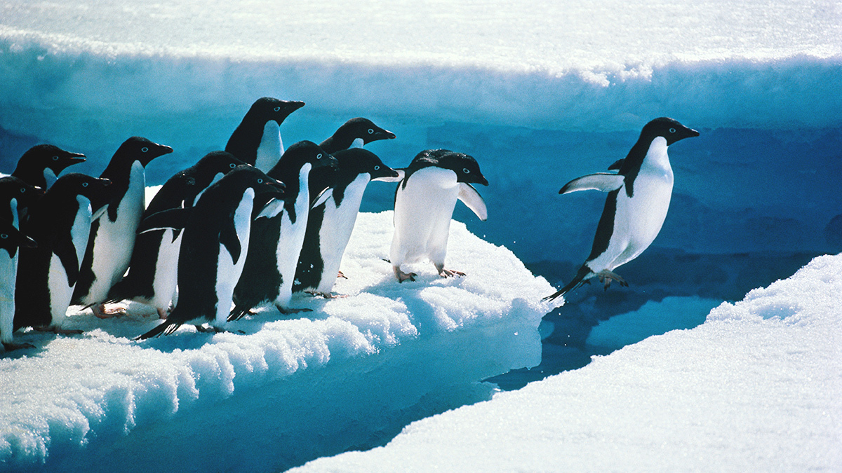 Sales Pipeline: The Ultimate Guide for Sales Leaders