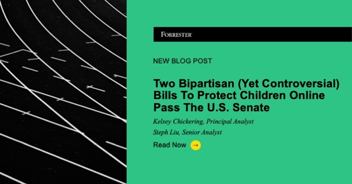 Two Bipartisan (Yet Controversial) Bills To Protect Children Online Pass The US Senate