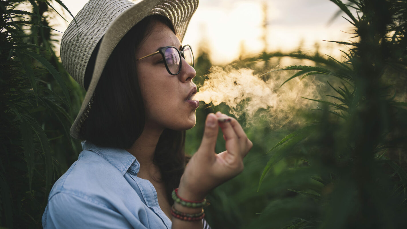 How to Capitalize on Cannabis