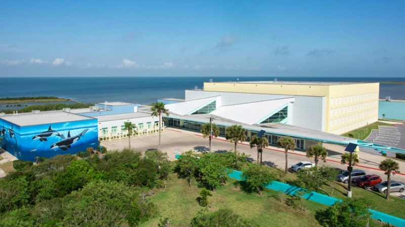 A Planner's Paradise - Meet on South Padre Island, TX | Cvent Blog