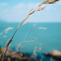 How can you achieve marketing personalization in 2021 | Acoustic Digital Experience Blog | MarTech Software