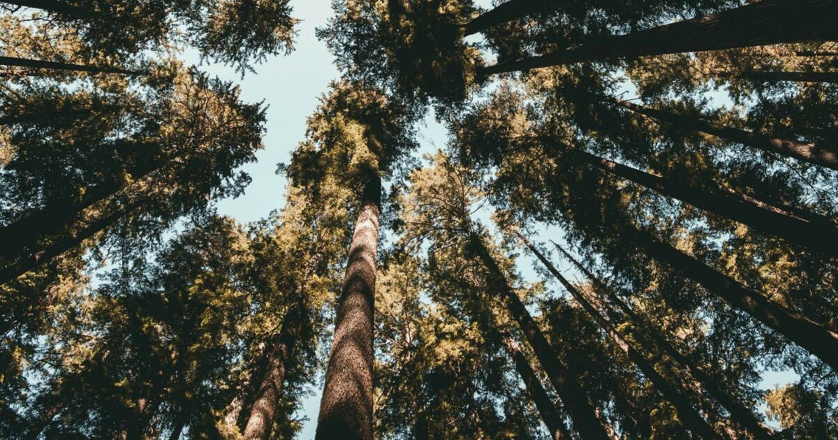 Forbes names Outreach a rising star in world's best 100 Cloud...