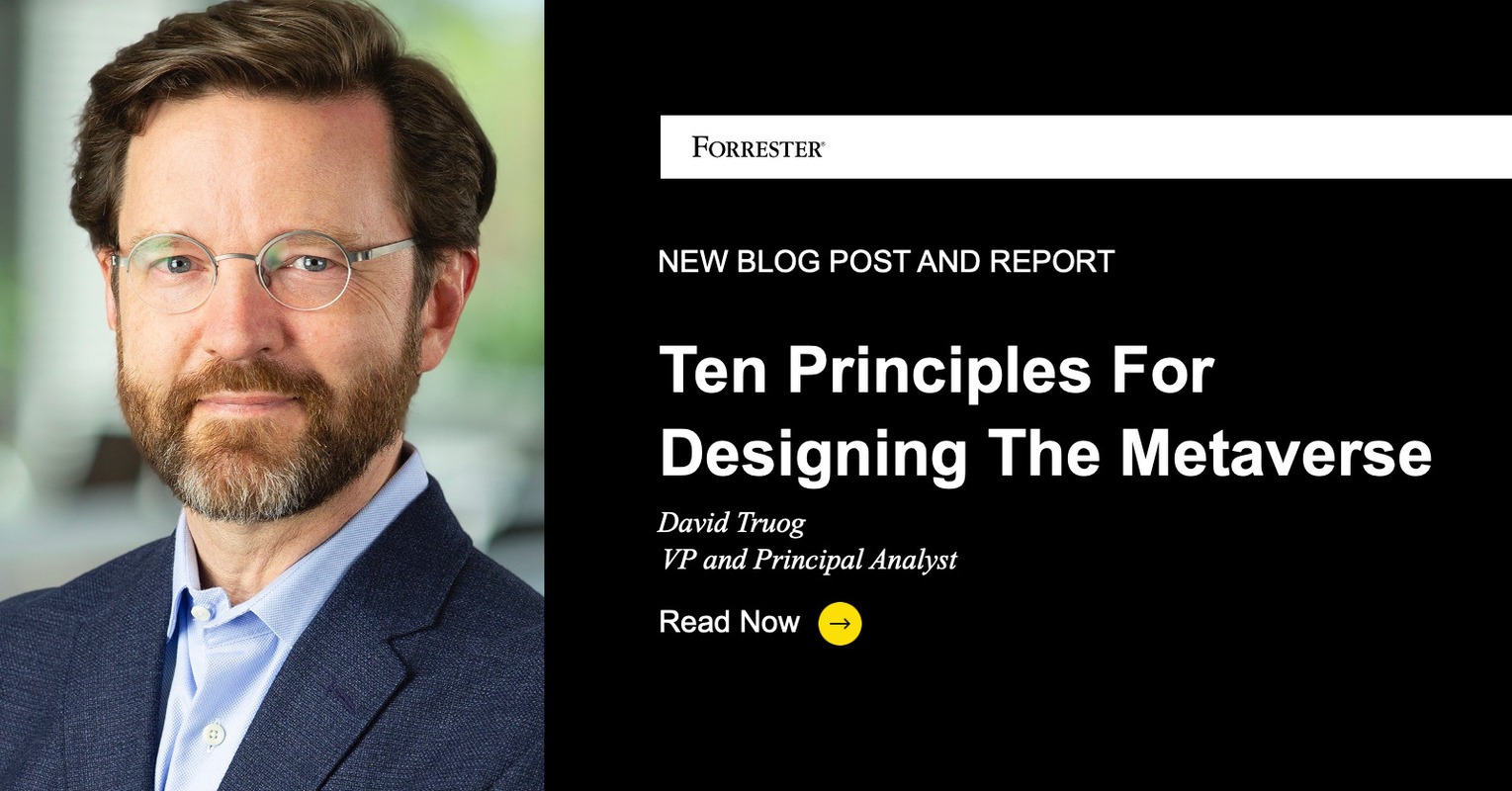 Ten Principles For Designing The Metaverse