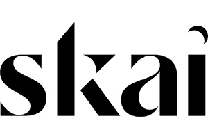Retailer Grows Search Advertising Revenue by Nearly 200% with Skai