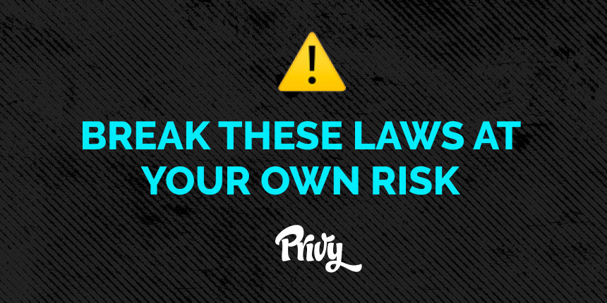 Introducing The 12 Laws of Ecommerce Marketing – The Universal Truths Of Marketing You Must Master To Grow