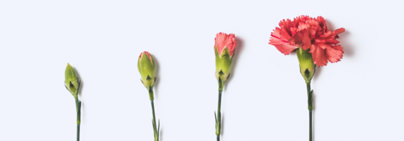 4 Tips to Grow Blog Audience Through Email Marketing