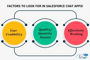 Factors That Determine the Chosen Salesforce Chat App as Best