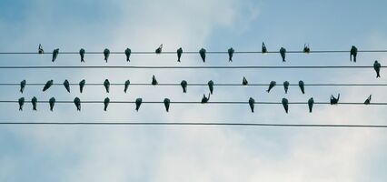 Text messaging service for utilities