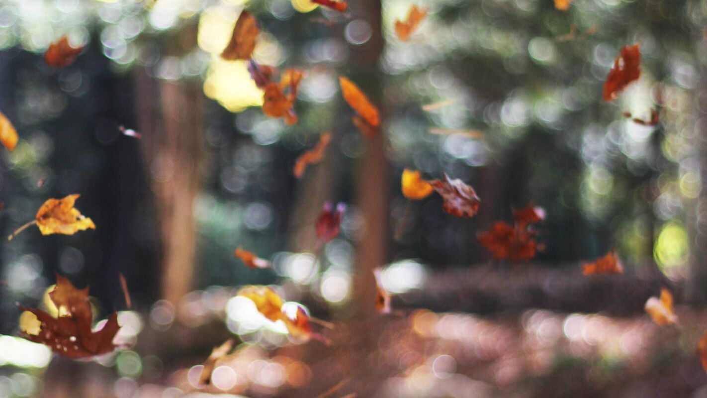 A Startup Founder's Secret Confession: I'm Not So Busy