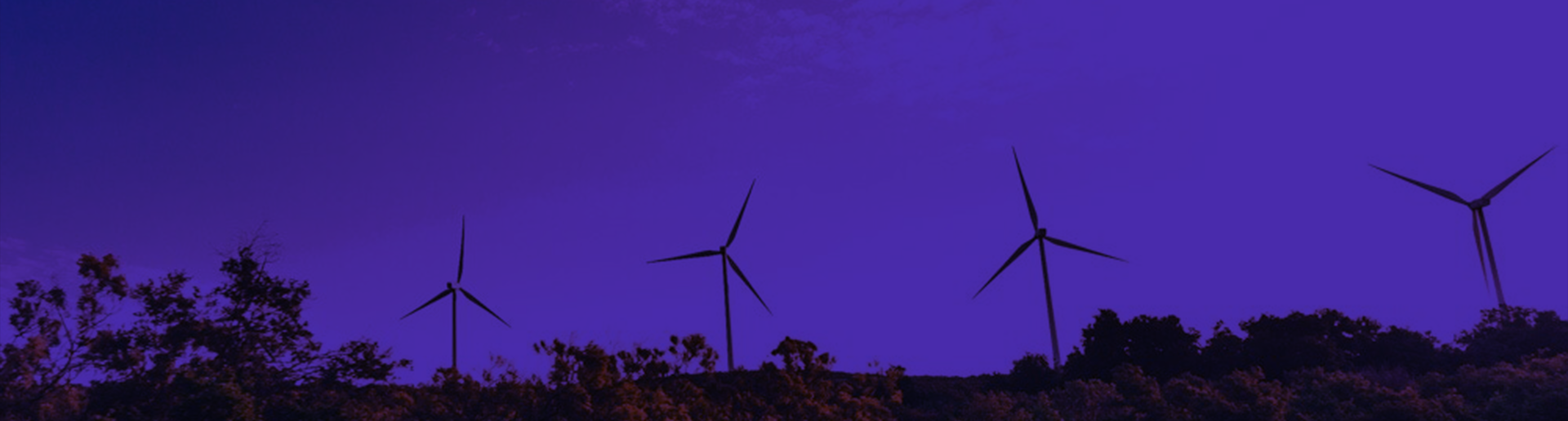 Selling SEO for Agencies: Why You Should Partner with Neil Patel's Agency