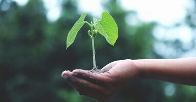 Lead Nurture for Beginners: Everything You Need to Know