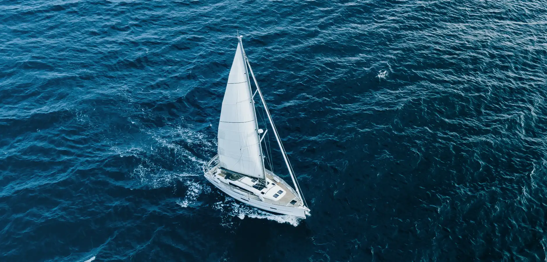 Charting 2024: Heeling into partnerships and inspiring innovation for strategic growth - impact.com