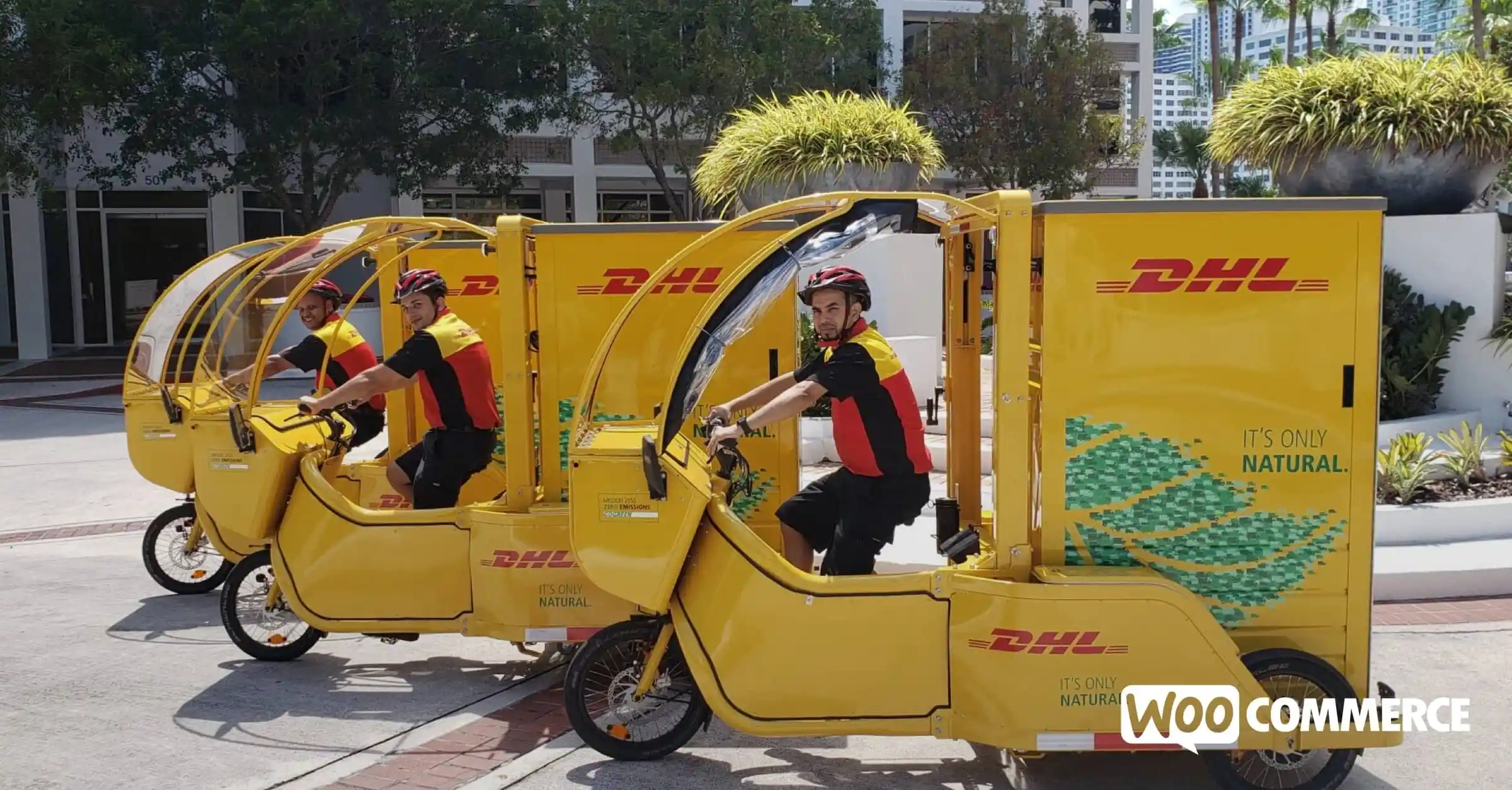 Sustainable Shipping without Cutting Corners: What You Need