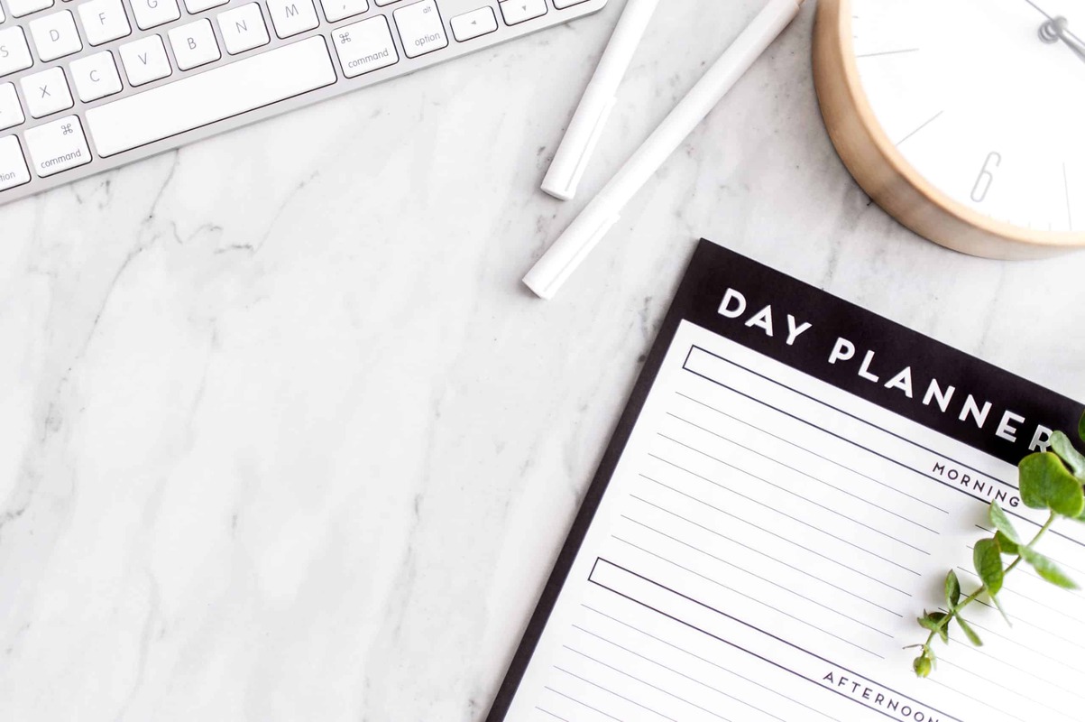 Your Beginner Guide To Going Evergreen: Here's Where To Start