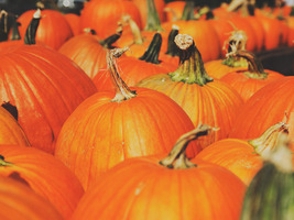 15 Clever Halloween Costumes for Content Marketers - Ceros Inspire: Create, Share, Inspire