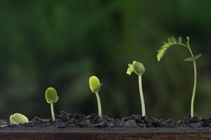 Video Marketing: Here is how to Rank on YouTube