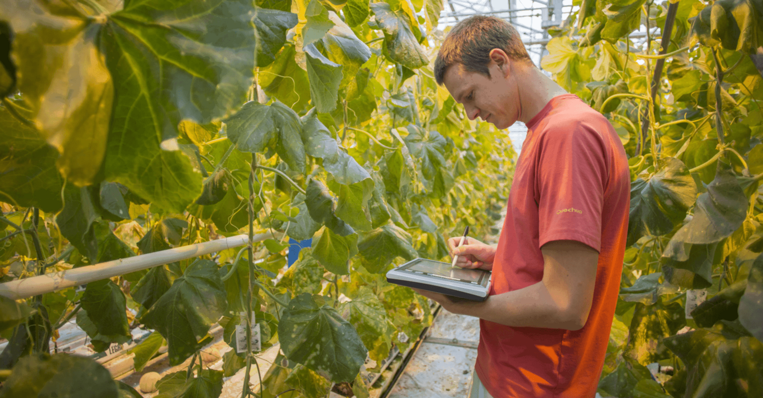 Customer spotlight: Vegetable breeding specialists Rijk Zwaan get 30+ subsidiaries on the same page with Bynder