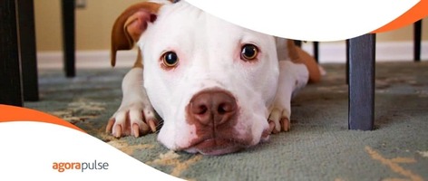 Five Mistakes That Even Experienced Social Media Managers Make