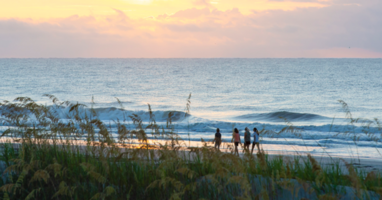 Palmetto Dunes Case Study | Vacation Rentals & Golf Resorts | Case Study