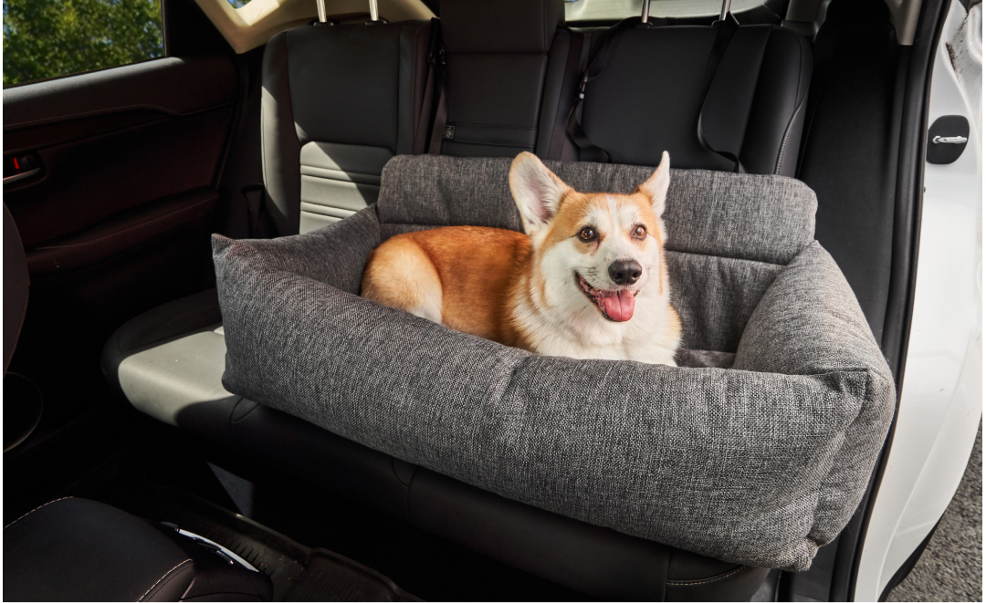 Paw.com Uses Email Segmentation to Achieve 145x ROI | Klaviyo Case Study