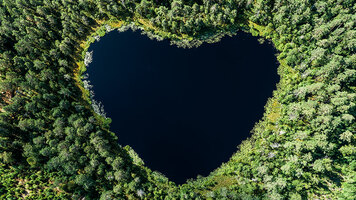 Create a Sustainable Business with E‑Signatures