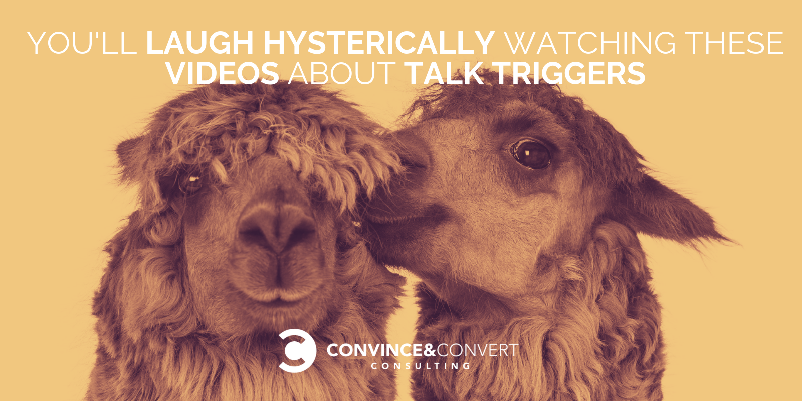 You'll Laugh Hysterically Watching These Videos About Talk Triggers