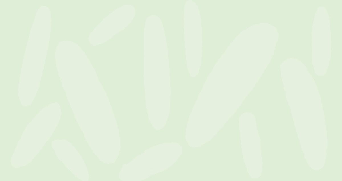 Mailchimp vs. Klaviyo: A Marketing Platform Comparison