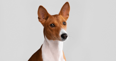 Brand loyalty: Why it matters and how to get it