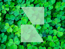 No Need For Luck To Reach Your Audience – Use Social Listening - Reputation