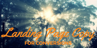 6 Landing Page Copywriting Principles for More Conversions