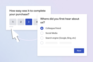 10 website survey questions