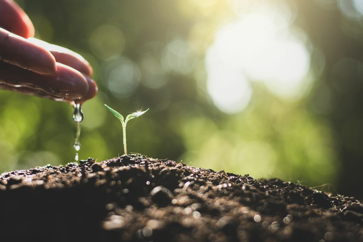 Leveraging Automation for Effective Nurture Email Campaigns