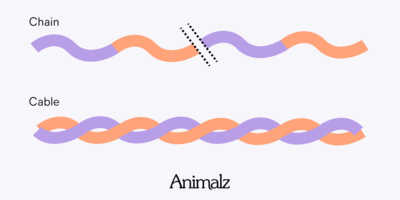 Persuade Like a Lawyer: How to Write to Convince a Jury of Readers