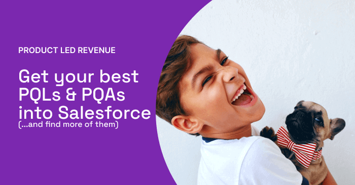 Salesforce for Product-Led: How to add and update your best PQLs and PQAs | Correlated Blog