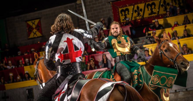 Reputation Management Medieval Times Case Study