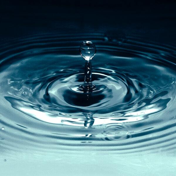 An expert interview featuring Forrester: Why moments are the secret to cross-channel success