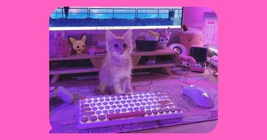 How gaming brands can reach their favorite audience