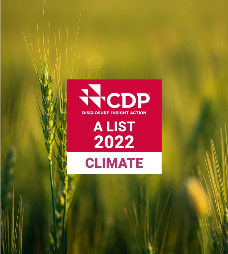 Adobe tackling climate change and named to CDP 'A List'