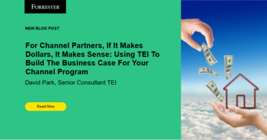 For Partners, If It Makes Dollars, It Makes Sense: Using TEI To Build The Business Case For Your Partner Program