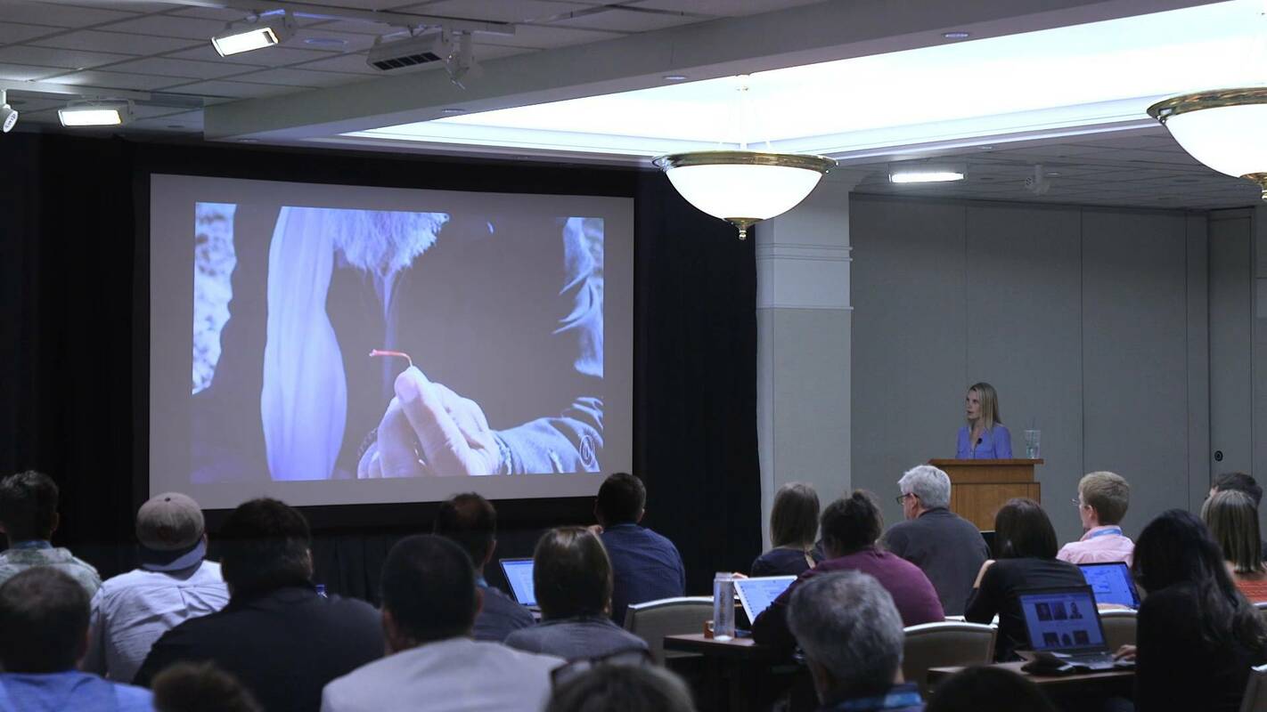 Pre-Production 101: Setting up for a Successful Shoot 